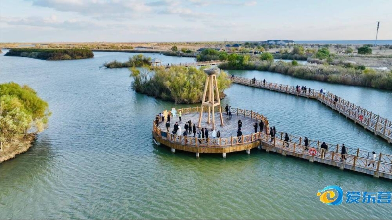 爱游戏ayx平台入口